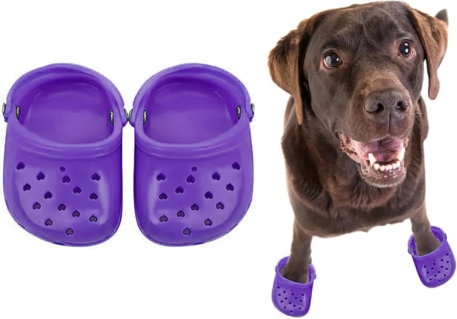 4 PCS Small Dog Sandals, Shoes for Dogs, Candy Colors Dog Sandals for Photo, Doggy Rubber Slipper Shoes Purple