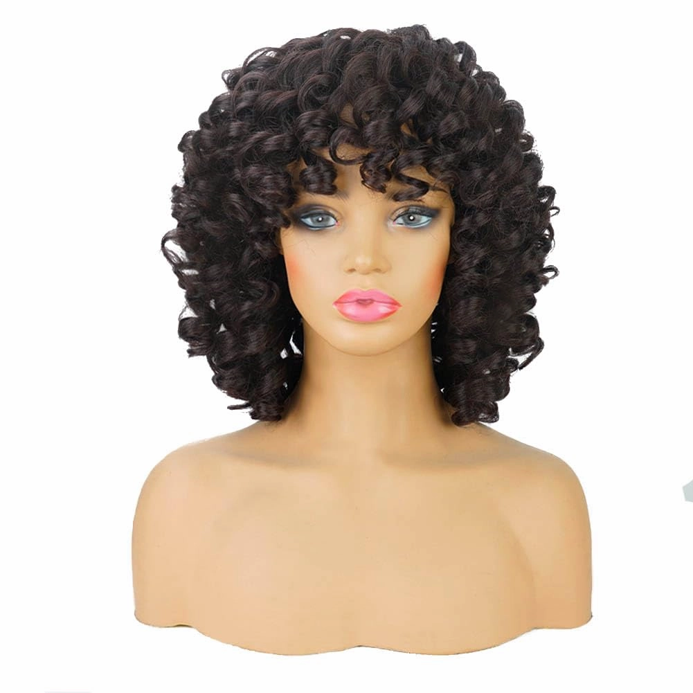 AIDUSA Big Curly Wigs for Black Women Synthetic Loose Curly Wigs with Bangs 14 Inch Dark Brown Short Wigs Natural Wigs for Women (#4 Dark Brown)