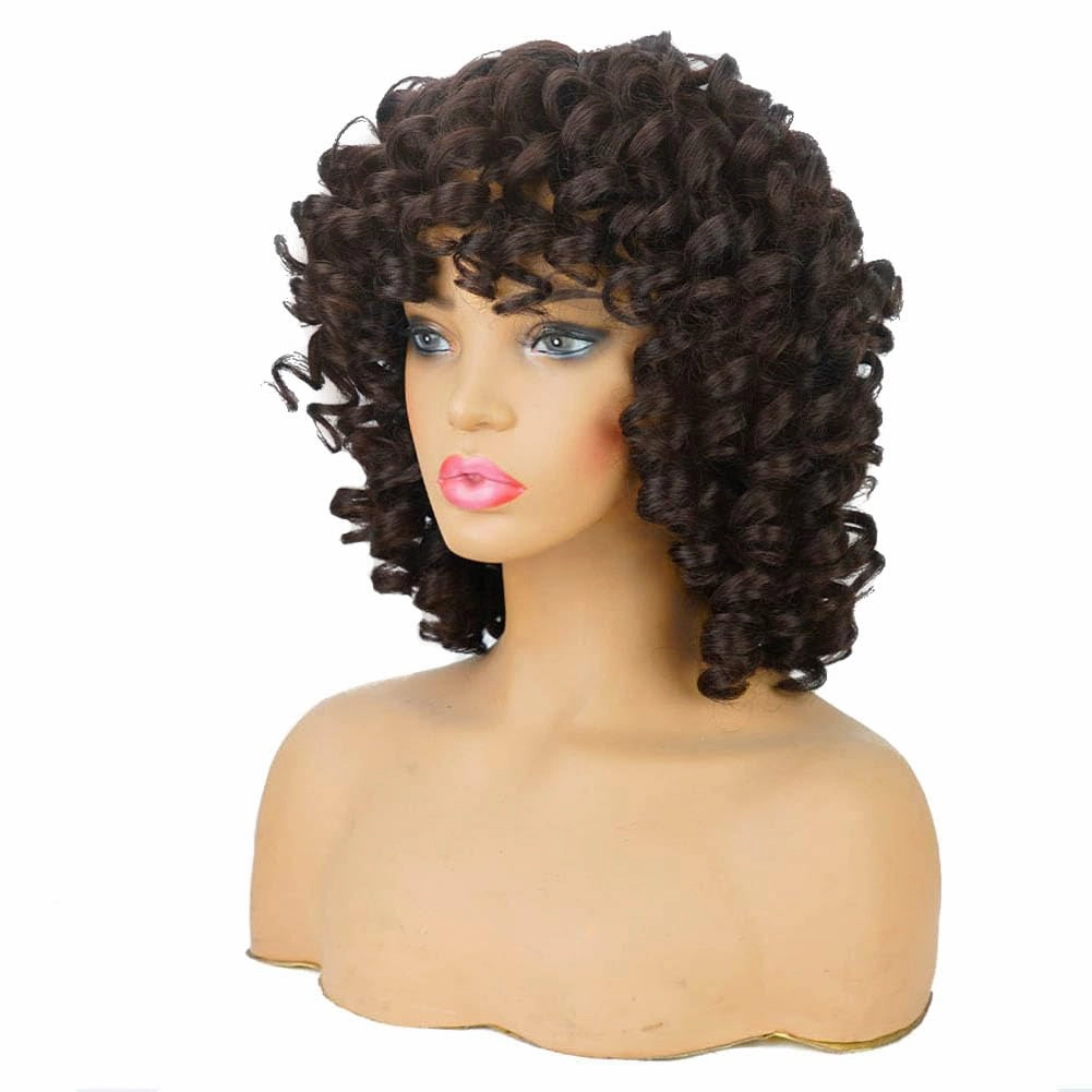 AIDUSA Big Curly Wigs for Black Women Synthetic Loose Curly Wigs with Bangs 14 Inch Dark Brown Short Wigs Natural Wigs for Women (#4 Dark Brown)