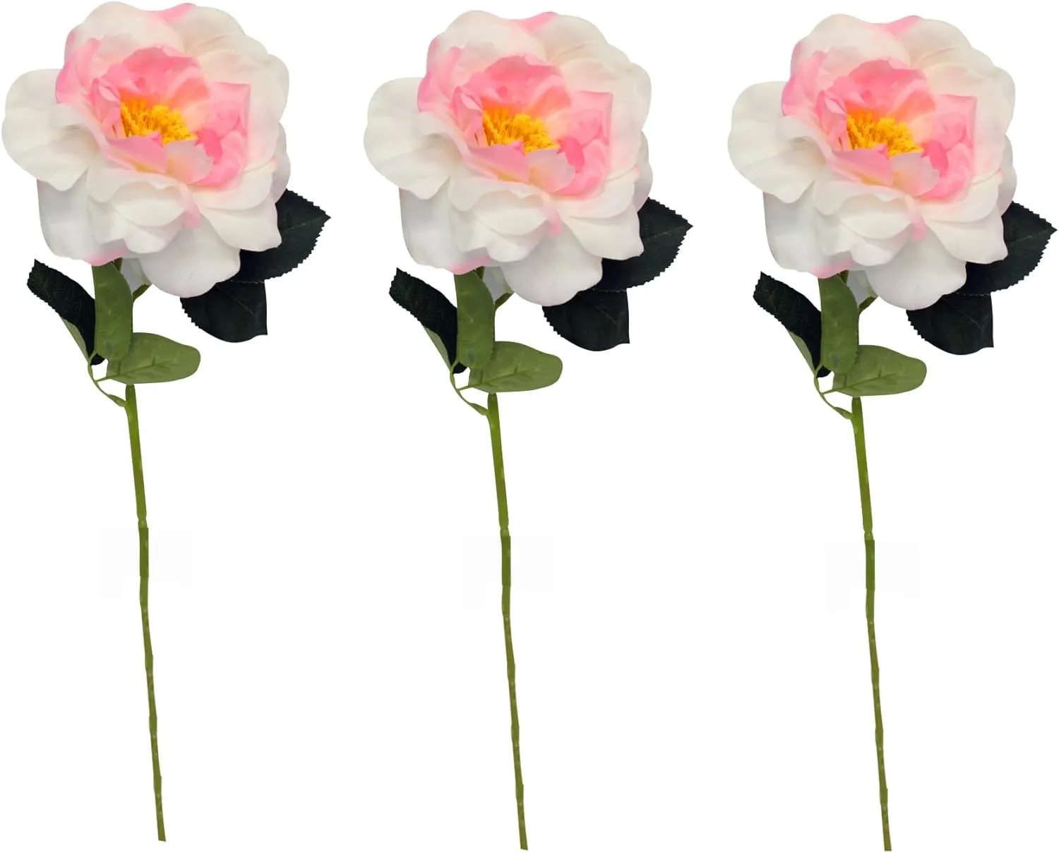 Angel Isabella Pack of 3 Real Touch Large Orlane Rose - (White Pink)