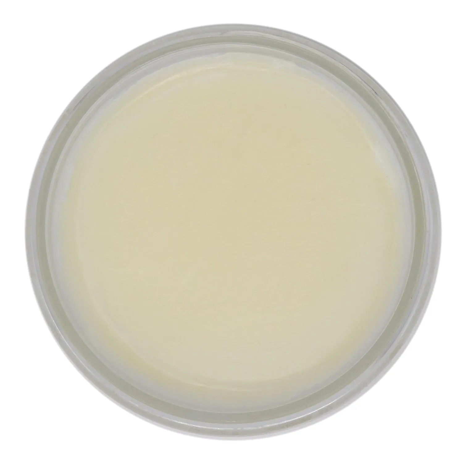 Body Butter - Pink Grapefruit Scent - Hand Crafted 8 fl oz / 240 ml Natural Artisan Skin Care, Shea Butter, Aloe Vera, Nourish, Moisturize, & Protect. Made in the USA.