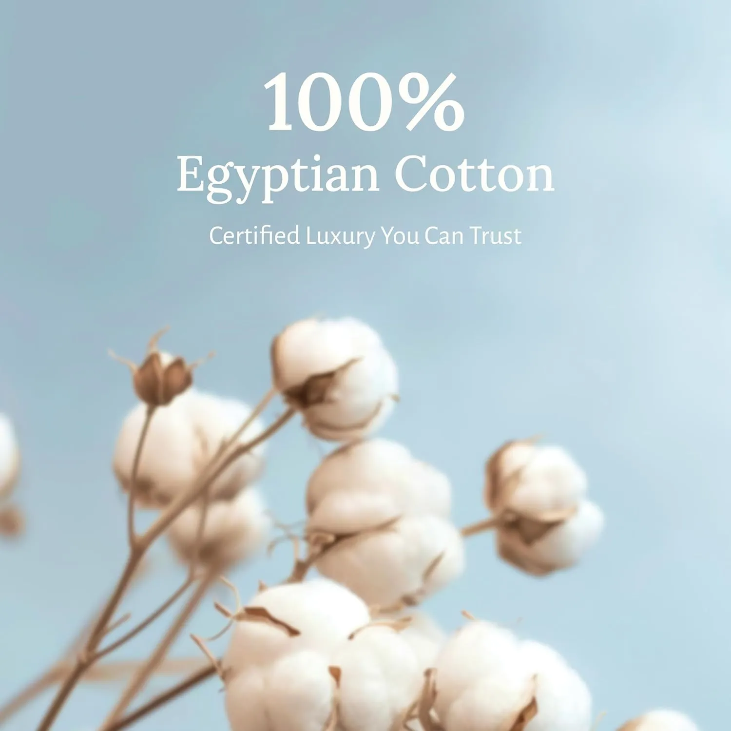 California Design Den Certified Luxury 100% Egyptian Cotton Sheets California King Size Set - Soft Sateen, Deep Pockets, Cool and Durable Bedding Sheets & Pillowcases Set - Grey