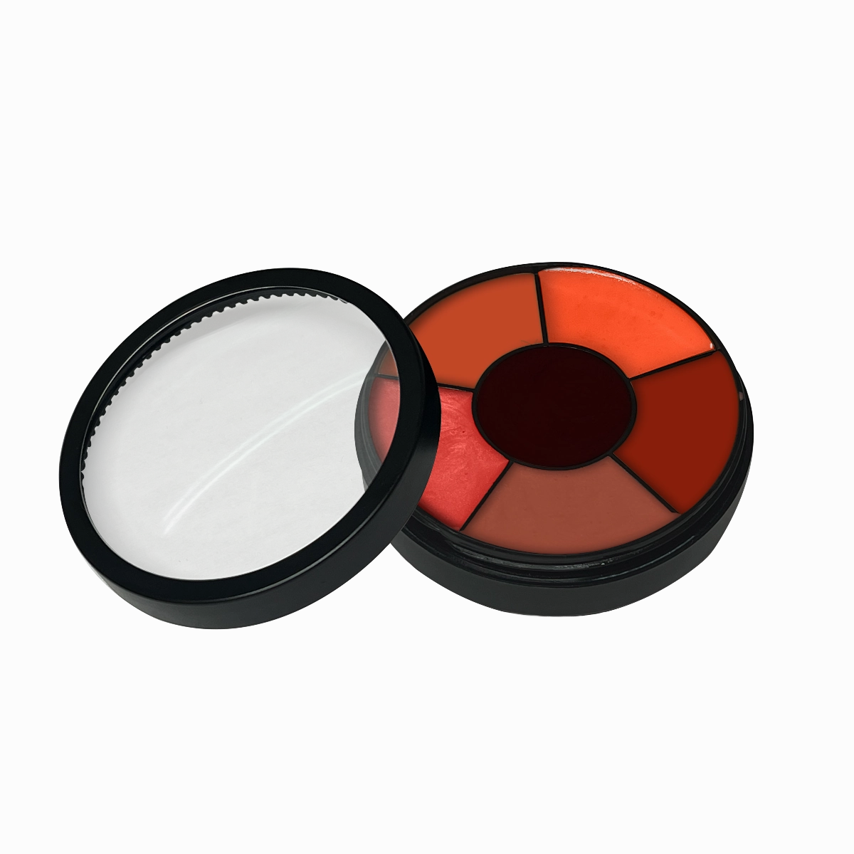 Coral Reef Wheel