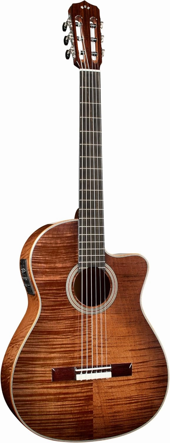 Cordoba Fusion 12 Nylon Guitar, Cinnamon Burst