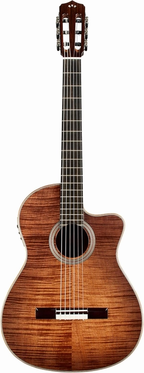 Cordoba Fusion 12 Nylon Guitar, Cinnamon Burst