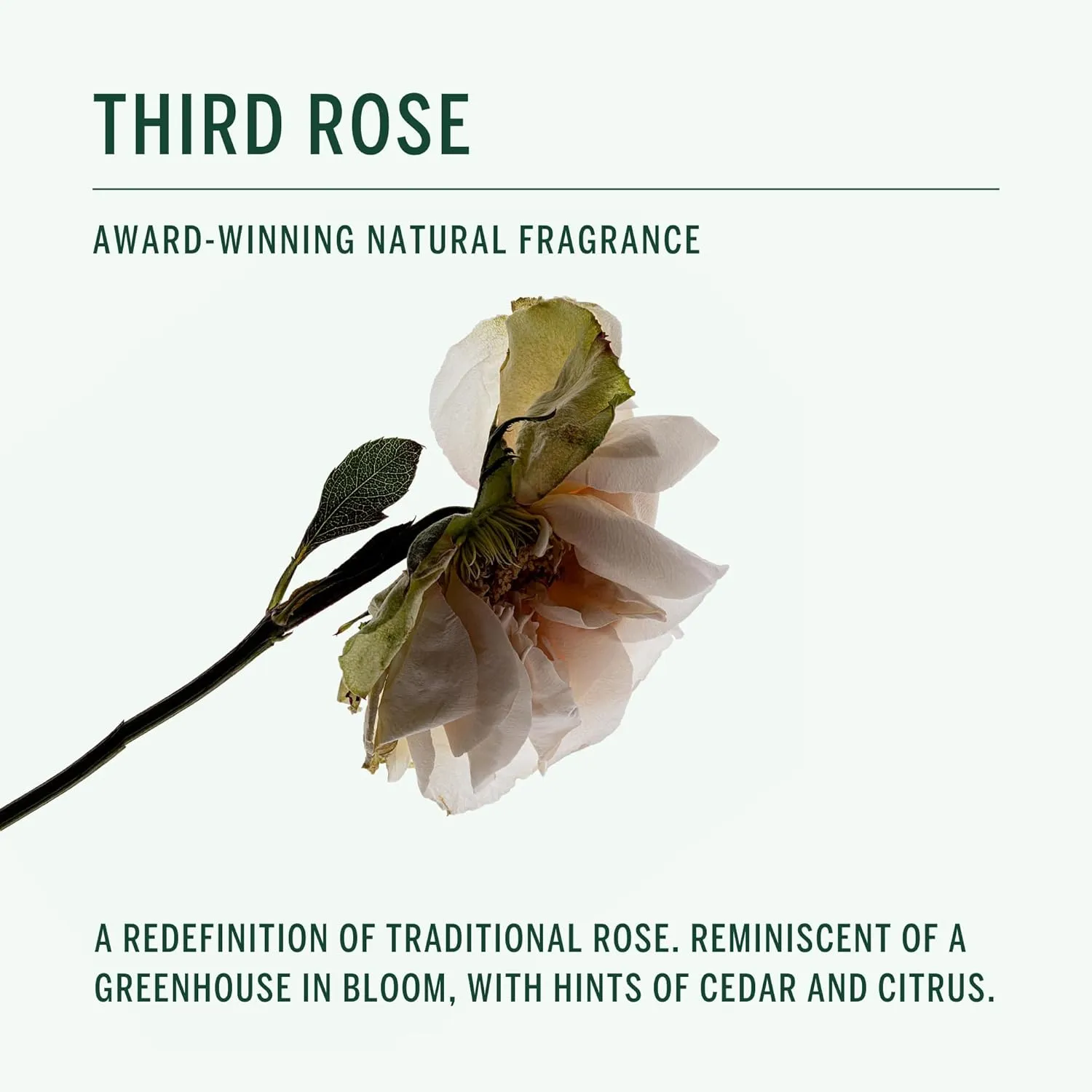 CORPUS - Natural Deodorant Stick For Sensitive Skin | Aluminium   Baking Soda Free | Unisex, Non-Toxic, Made In The USA (Third Rose)