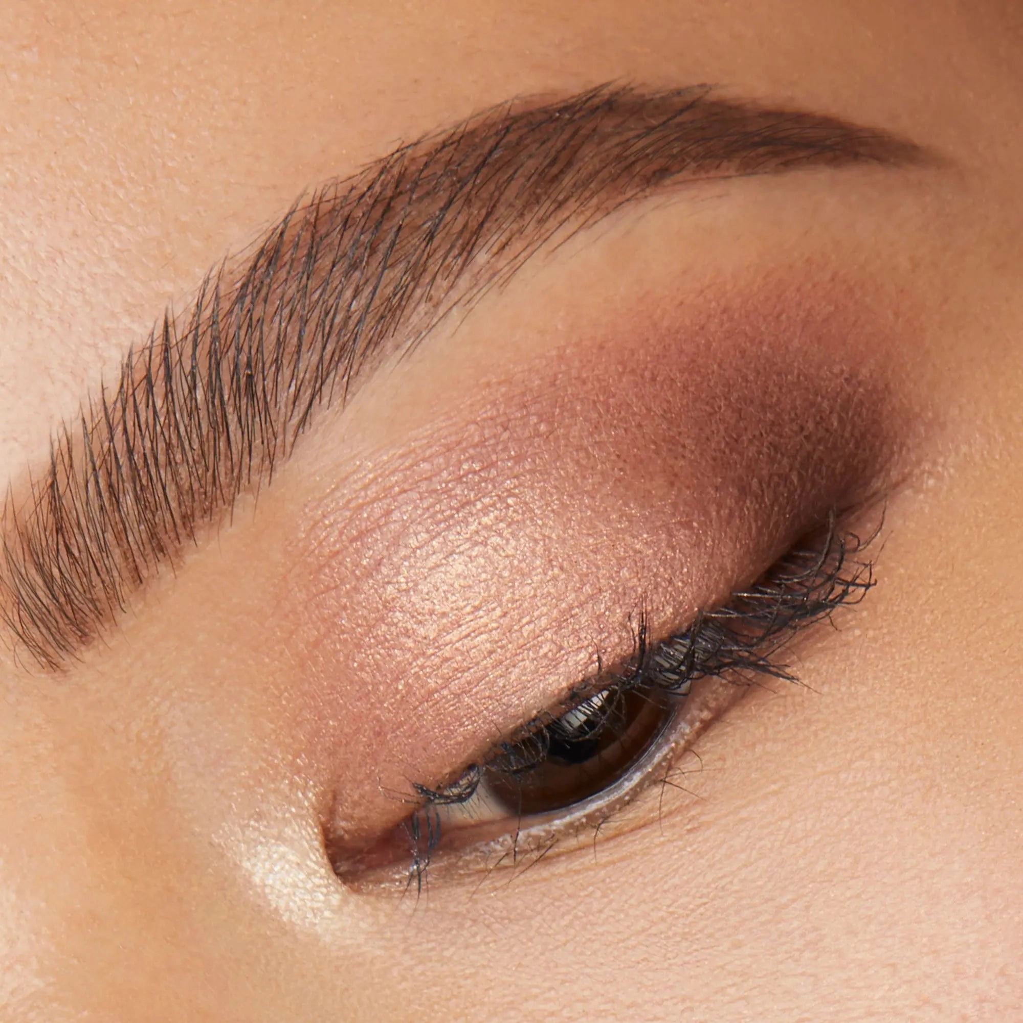 EYE SEE IN COLOR