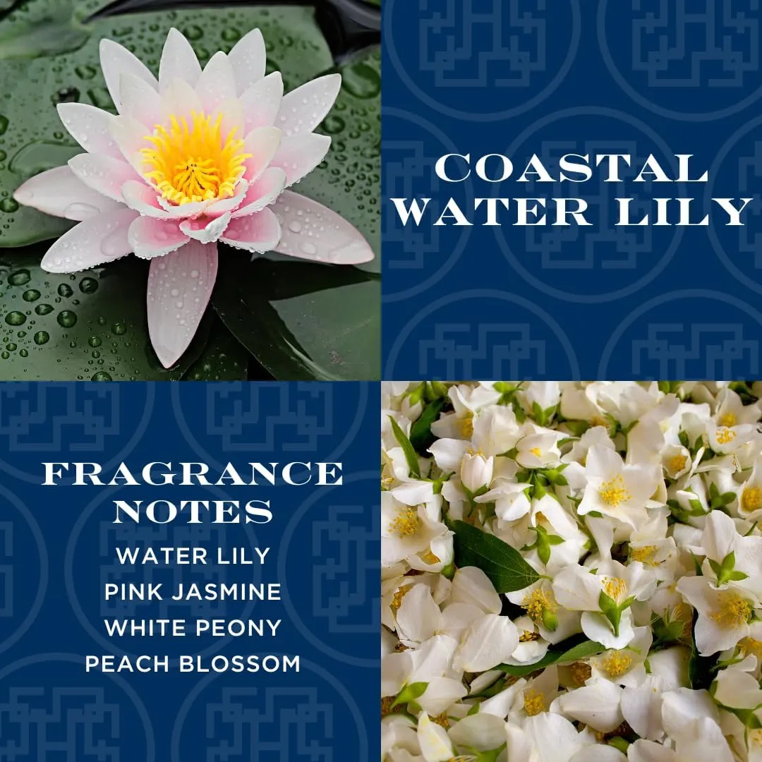 HomeWorx by SLATKIN   CO. Coastal Water Lily Reed Stick Diffuser