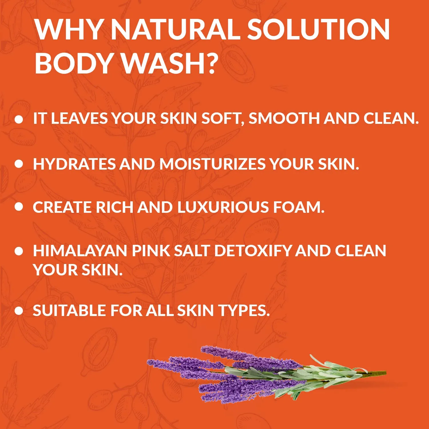 Natural Solution Body Wash, Made With Himalayan Pink Salt & Organic Lavender Oil, Purifying and Transforms The Even Driest Skin in Just One Shower, 17 fl oz (6 Count)