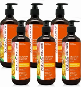 Natural Solution Organic Argan Oil Shampoo - Refreshing, Hydrating, and Extra Nourishing Formula for Daily Care of All Hair Types, 17 fl oz (6-Pack)