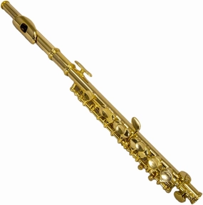 SKY(Paititi) Band Approved Gold Plated with Gold Keys Piccolo Key of C with Hard Case, Cloth, Cleaning Rod and Joint Greasae