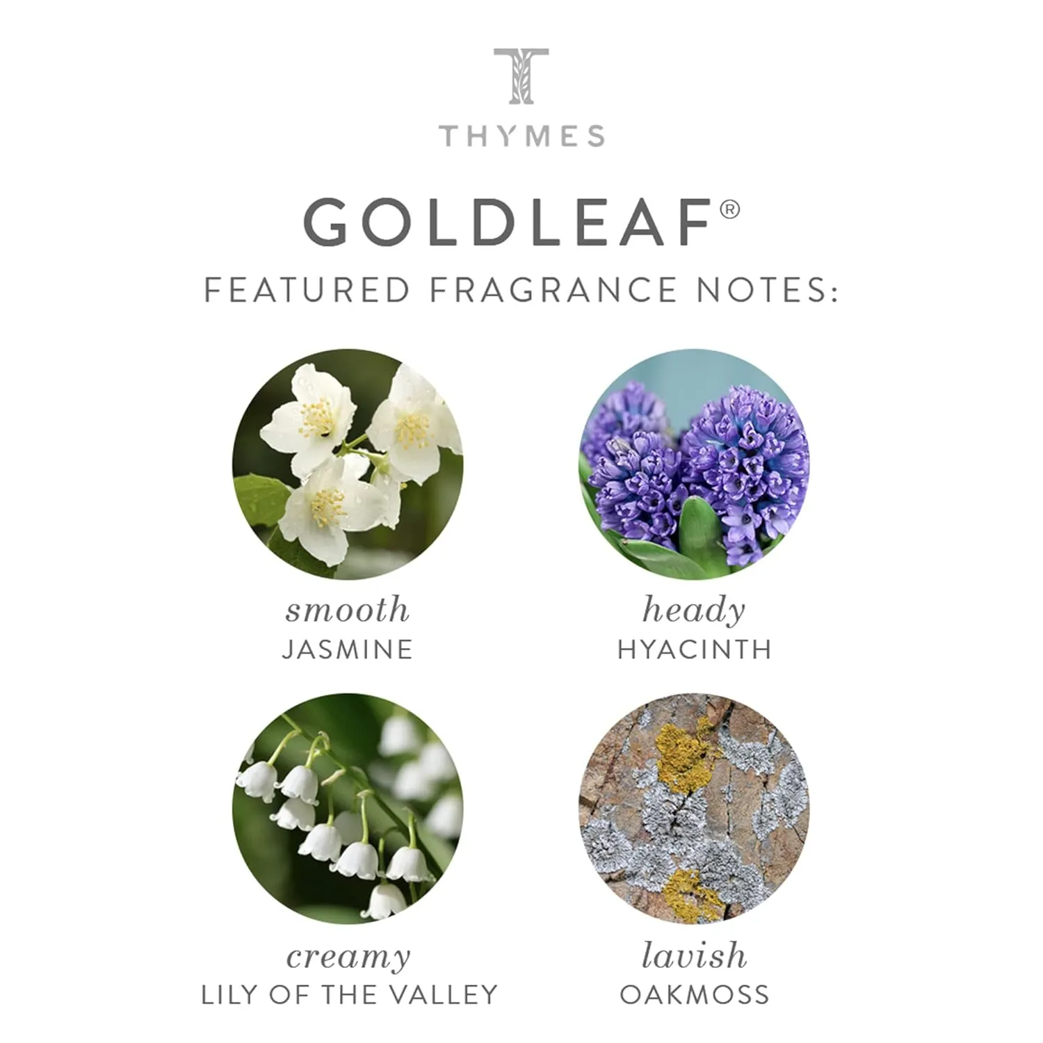 Thymes Hand Lotion Gold Pump - 8.25 Fl Oz - Goldleaf