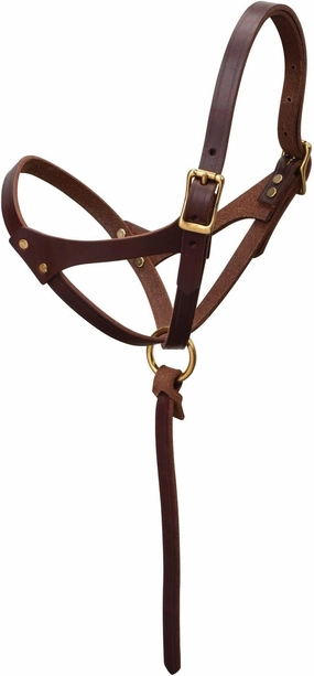 Weaver Leather Figure 8 Foal Halter, 5/8" Suckling, Oiled Canyon Rose