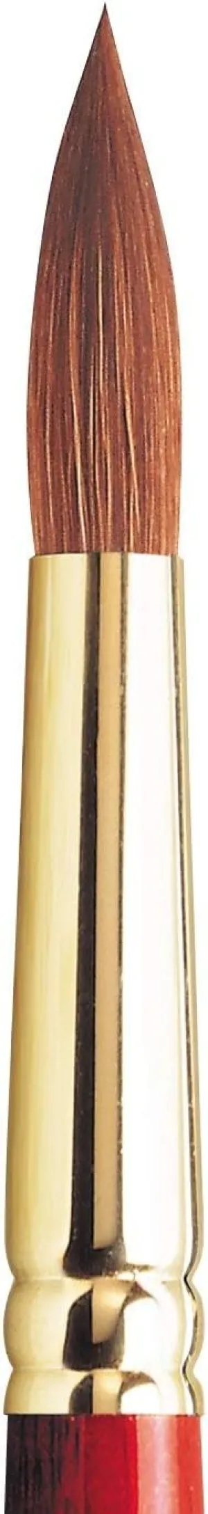 Winsor & Newton Sceptre Gold II Series 101 Short Handle Brush-Round #14, Brown